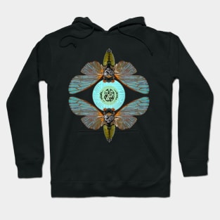 Cicada Wireless Hoodie